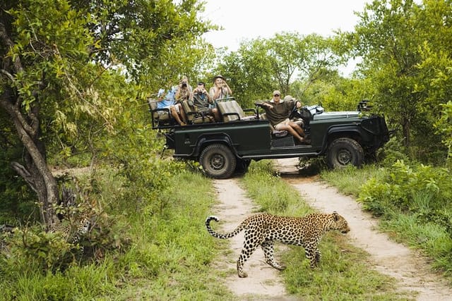 Full-Day Private Safari of Kruger National Park  - Photo 1 of 3